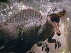 Jpspino