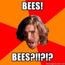 Image - Gwaine and bees meme.jpg - Merlin Wiki - BBC TV Series