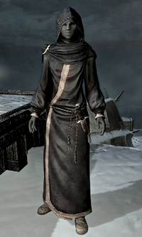 TESV Aranea