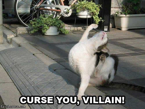 Curse-you-villain-lol-cat-lolcats-epiclo