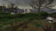 ParthGalenLOTRO