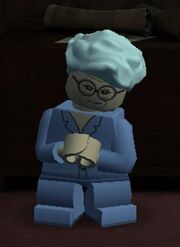 Madam Malkin Lego