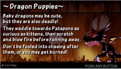 Dragon Puppies