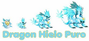 Dragon hielo puro