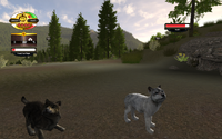 Nightangelwolf PureWhitePuppy1
