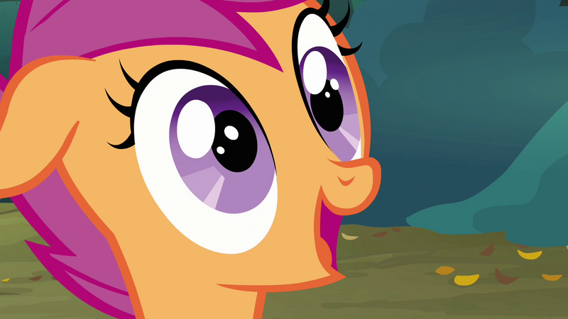 800px-Scootaloo_in_awe_at_Rainbow_S3E6.p
