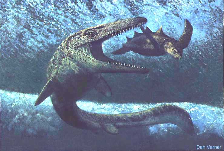 mosasaur us dinosaur