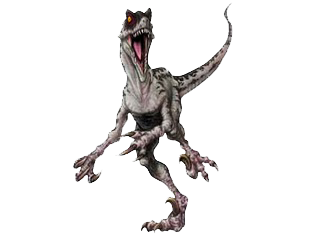 Velociraptor_copy