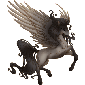 gray pegasus