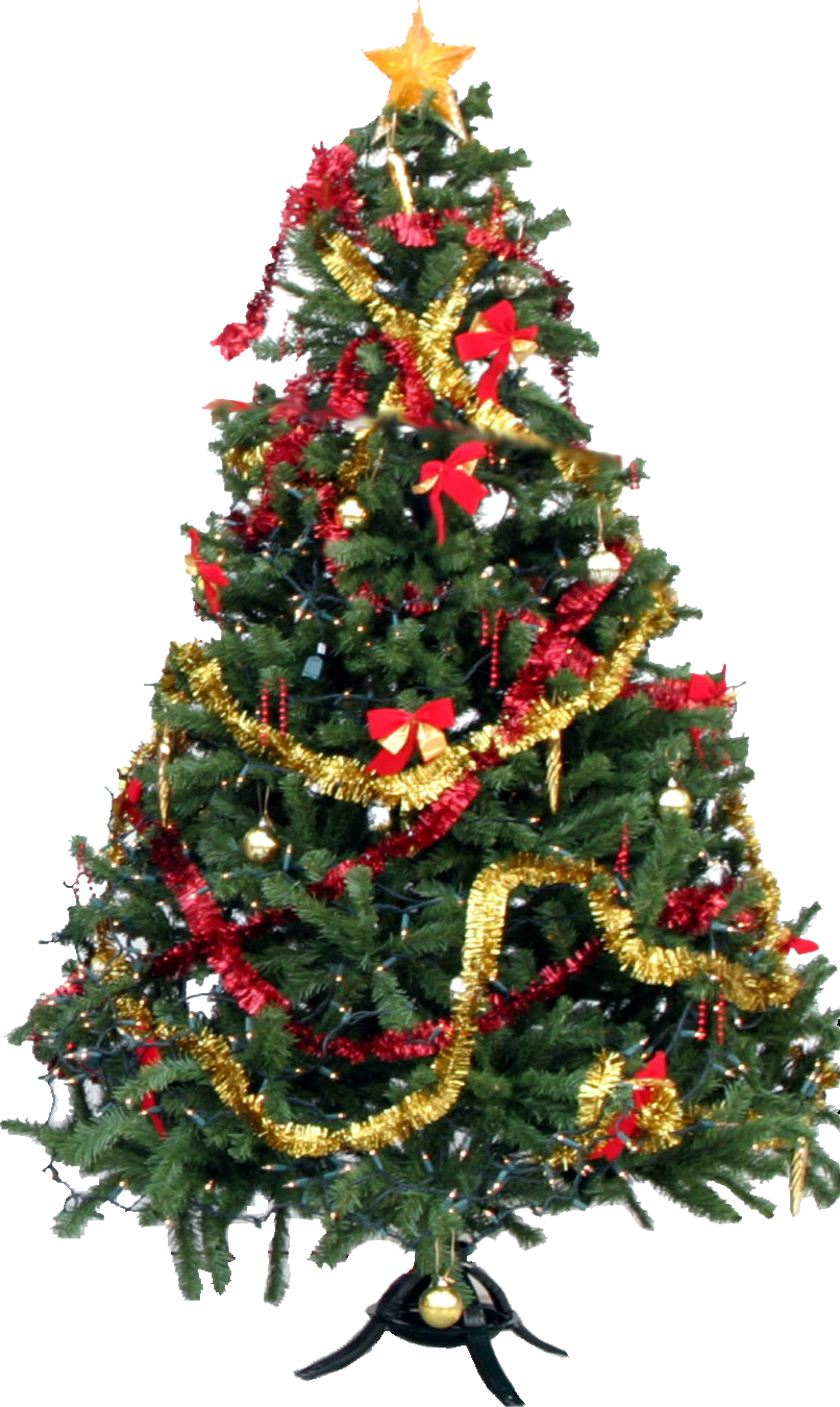 image christmas tree png once upon a time wiki image christmas tree png once upon a time wiki