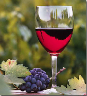 Wine