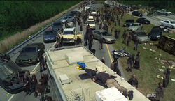 Walkingdead zherd