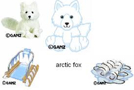 arctic fox webkinz