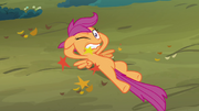 Scootaloo -aght-