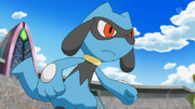 Cameron Riolu