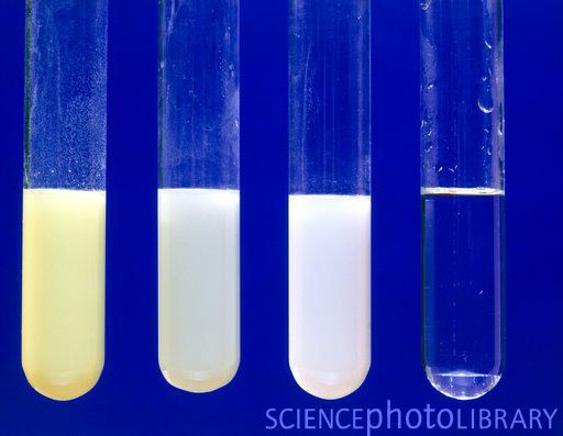 Chemical Properties Of Silver Halide Chemical Properties Of Silver Halide