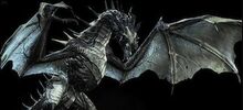 TopDragons