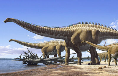Diplodocus