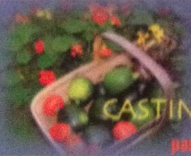 Nasturtiums