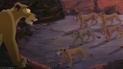 Lion2-disneyscreencaps.com-6678