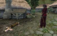 Mephala Quest Aftermath