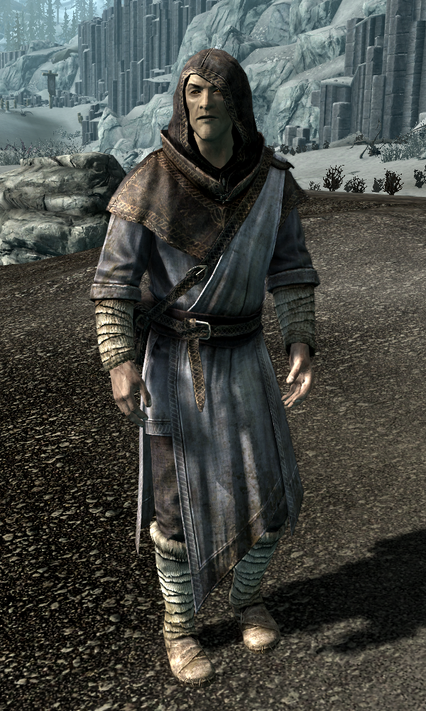becoming guild master skyrim