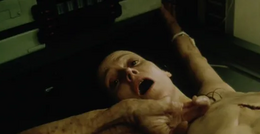 Ripley 7