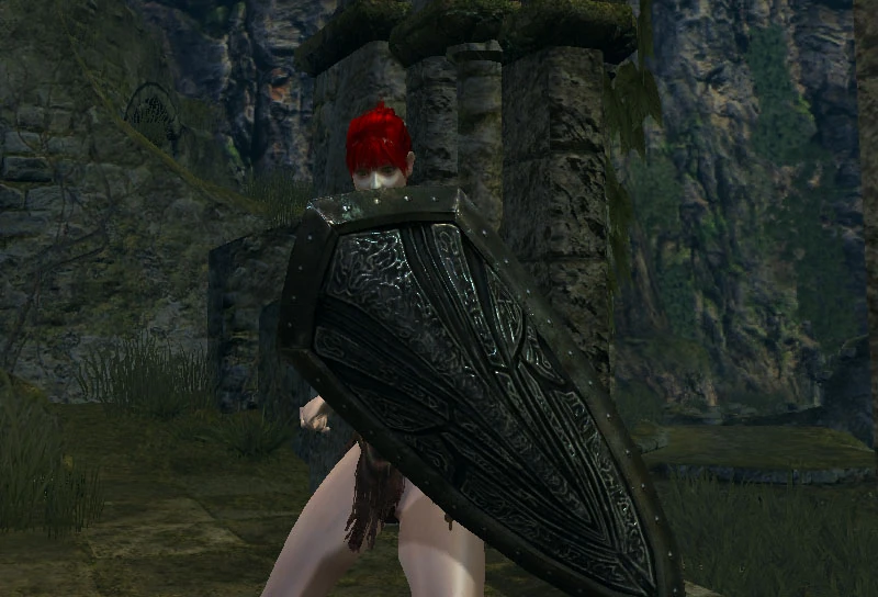 Dark Souls Black Knight Shield