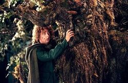 Pippin-and-treebeard
