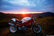 Ducati Monster (-46416)
