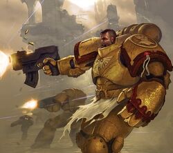 Imperial fists 2nd company image