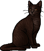 Lionblaze, Warriors Wiki