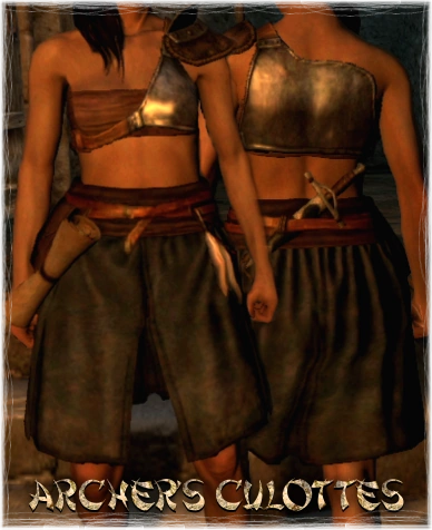 Armour_Torso_Archer%27s_Culottes.png