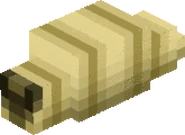 185px-Maggot.png