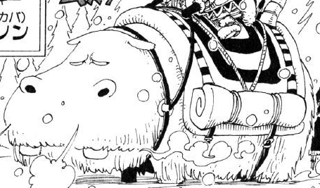 Hippo one piece