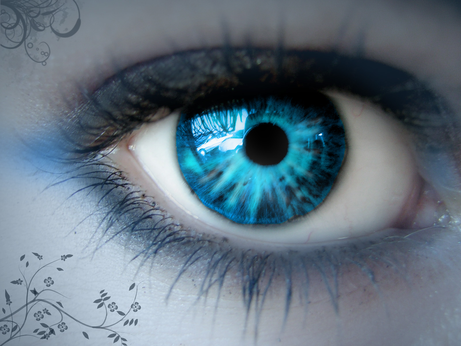 The Blue Eye – Creepypasta Wiki