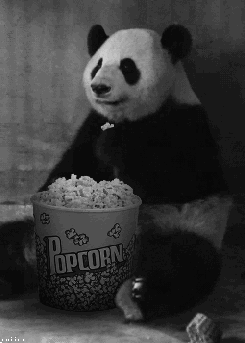 Panda_eating_popcorn.gif