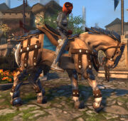 Neverwinter