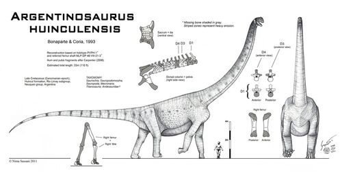 Imagen Argentinosaurus Wiki Prehist Rico