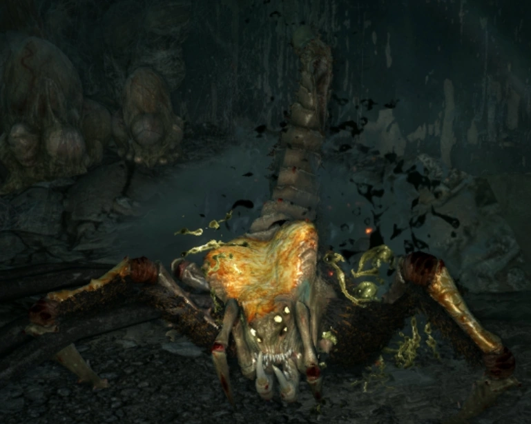 Spiders4.png
