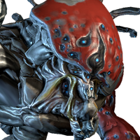 warframe infested phorid bosses wiki wikia main