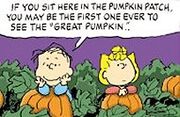 Linus Sally Pumpkin Patch