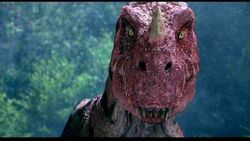 ceratosaurus meaning