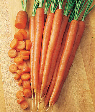 List Of Carrots - Carrot Wiki