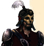 Raider