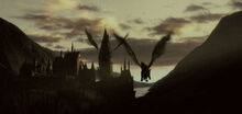 Flight-2