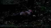 Luna's Death