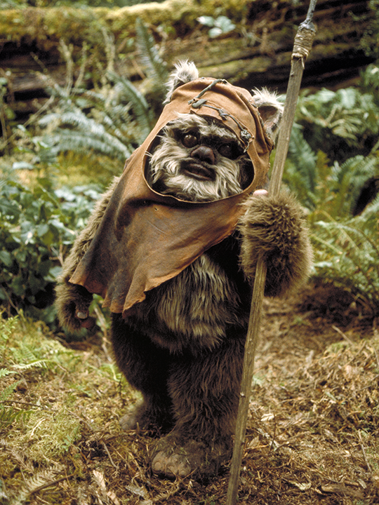 [Image: Wicket_RotJ.png]