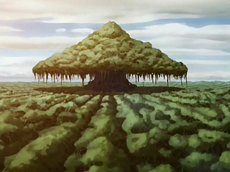 Banyan-grove tree - Avatar Wiki, the Avatar: The Last Airbender resource