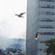 Mothman at ground zero